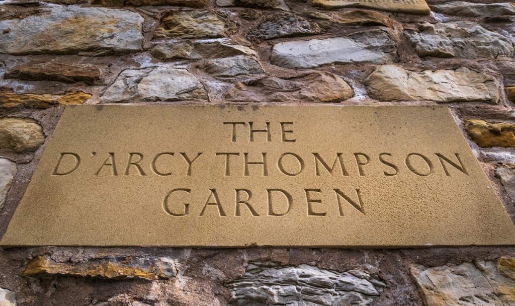 The D'Arcy Thompson Garden St Andrews Heritage Museum and Garden